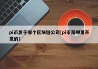 pi币属于哪个区块链公司[pi币是哪里开发的]